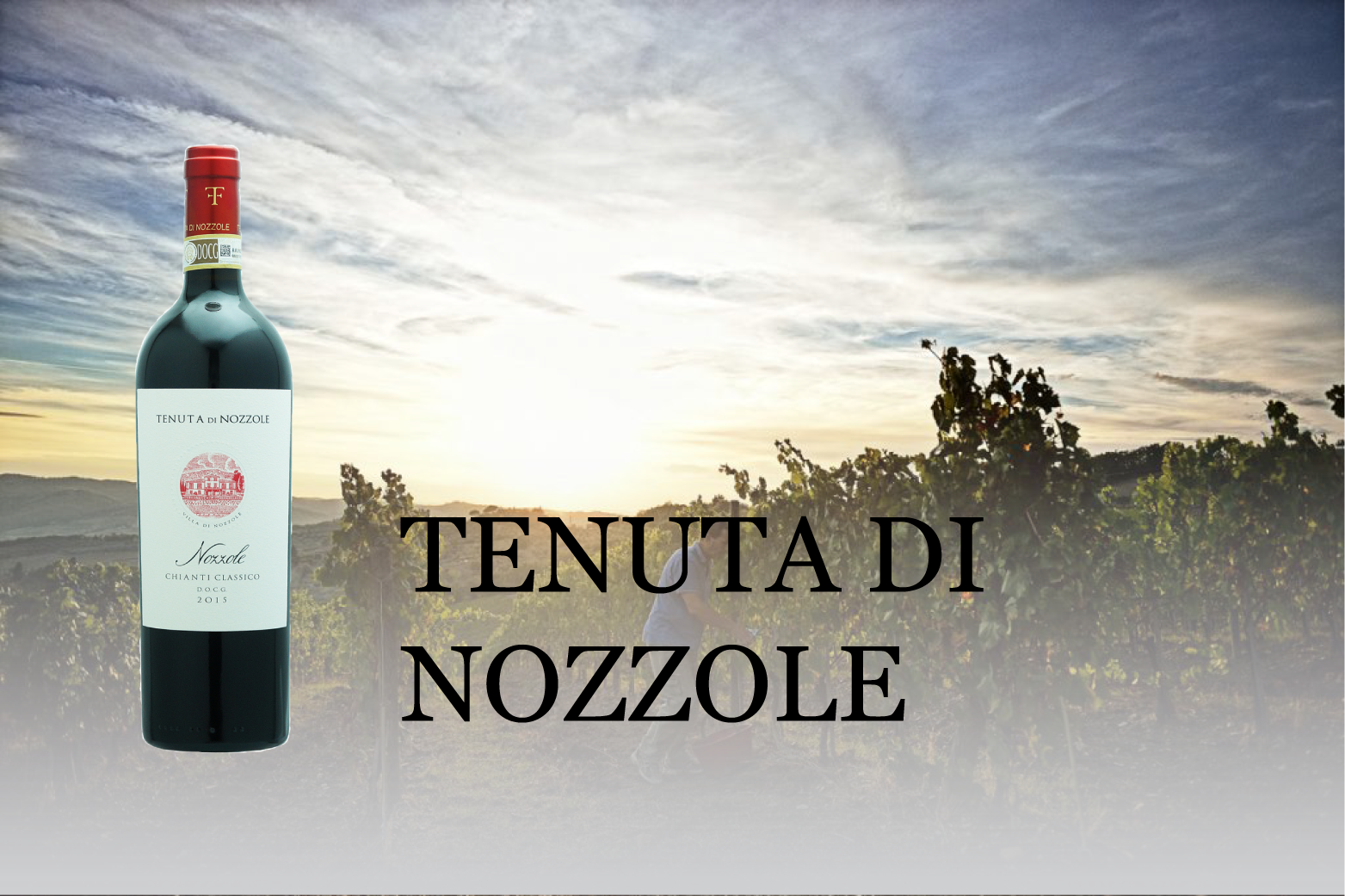 テヌータ・ディ・ノッツォーレ／ TENUTA DI NOZZOLE | エノテカ