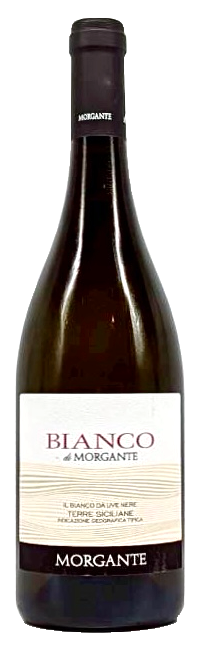 ビアンコ ディ モルガンテ 〈モルガンテ〉