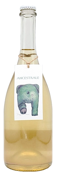 アンチェストラーレ ヴィーノ フリッツァンテ 〈テッラクルーダ〉